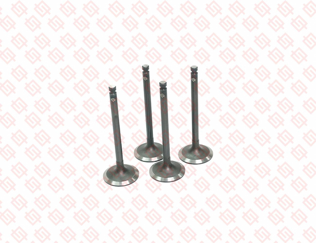 INTAKE VALVE