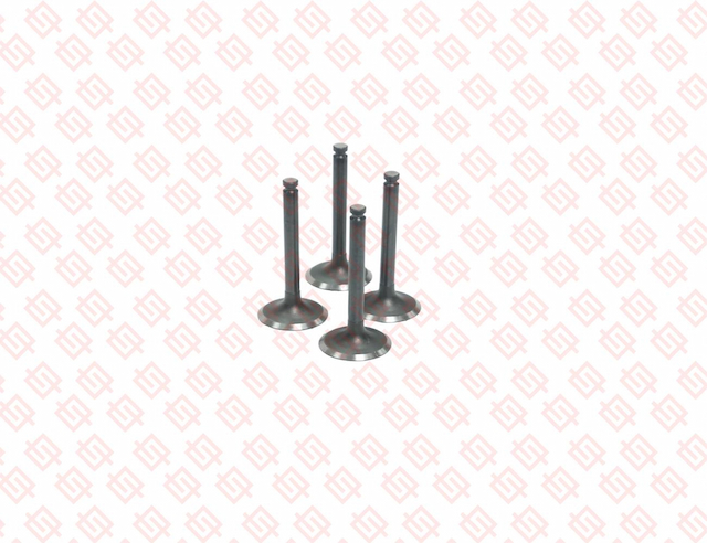 INTAKE VALVE