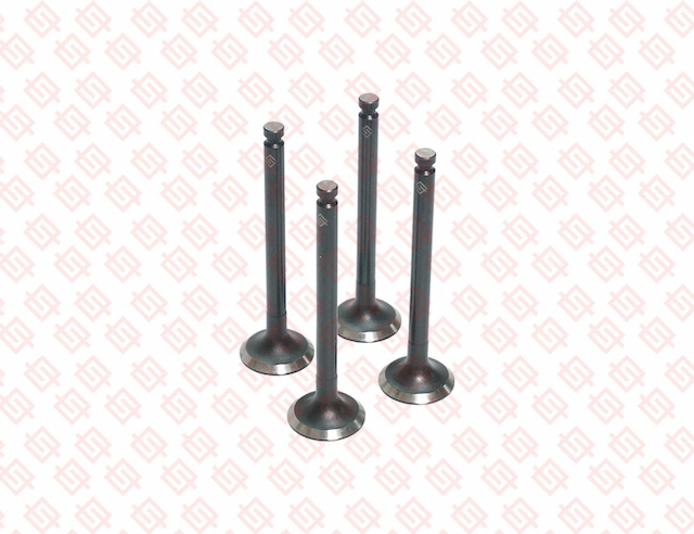 EXHAUST VALVE