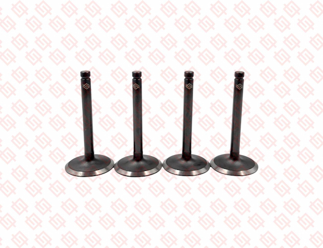 INTAKE VALVE