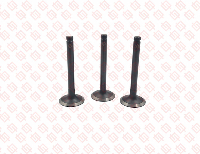 EXHAUST VALVE