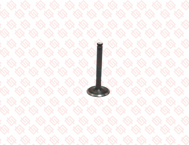 EXHAUST VALVE