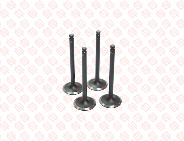 INTAKE VALVE