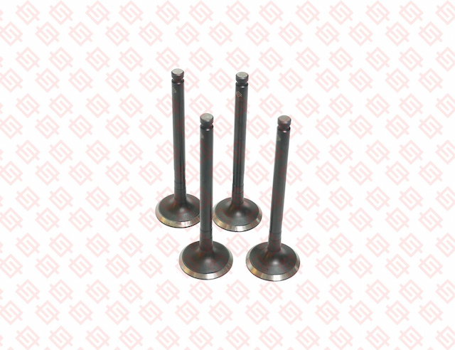 EXHAUST VALVE