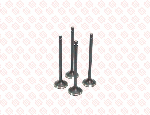 EXHAUST VALVE