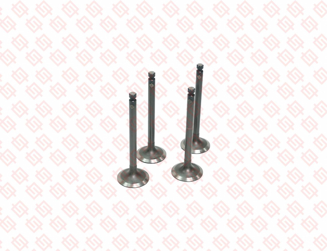 INTAKE VALVE