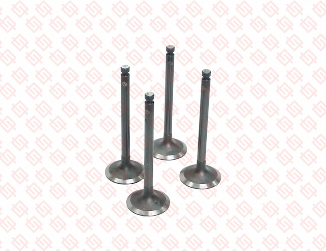 INTAKE VALVE
