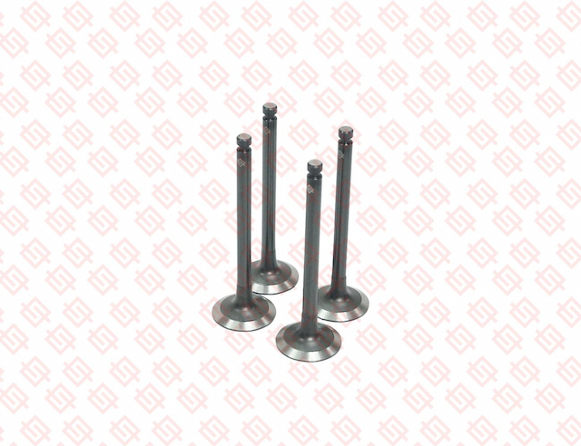 INTAKE VALVE