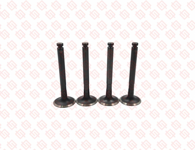 EXHAUST VALVE