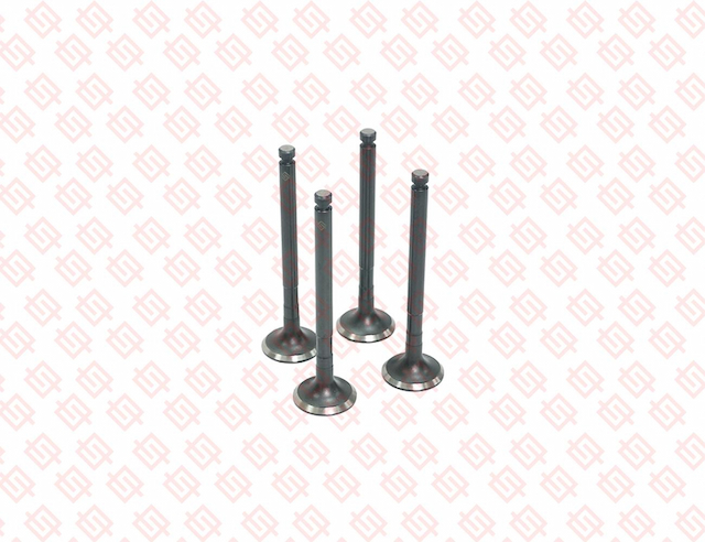 EXHAUST VALVE