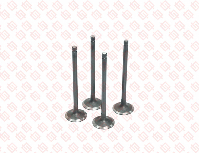 INTAKE VALVE