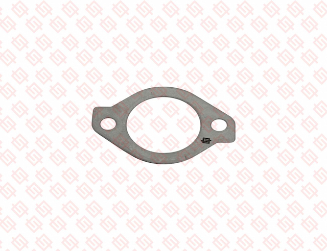 GASKET, THERMOSTAT