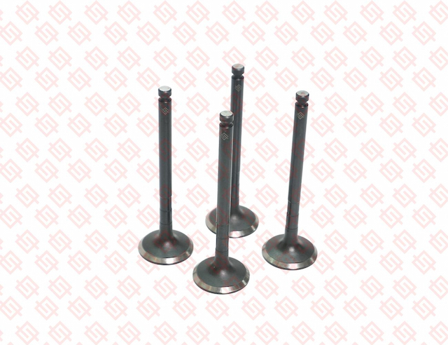 EXHAUST VALVE