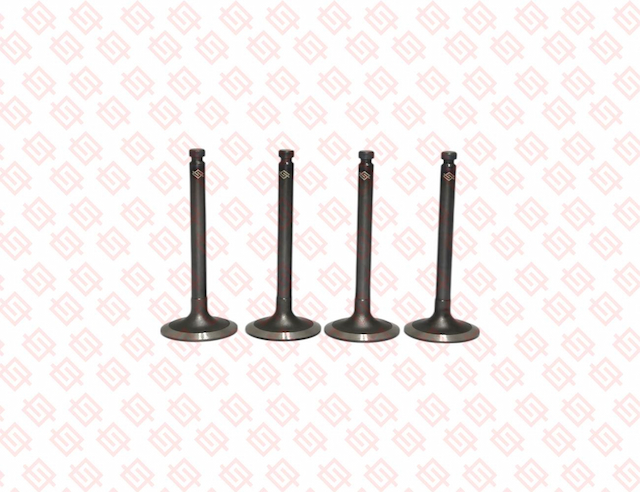 INTAKE VALVE