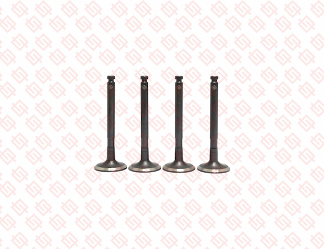 EXHAUST VALVE