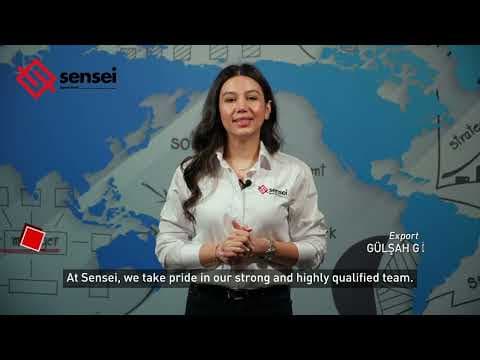 How qualified is the Sensei team?